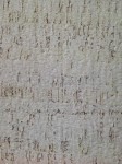 Mantar duvar kağıtları  91118410-(9m0.5m)Doğal